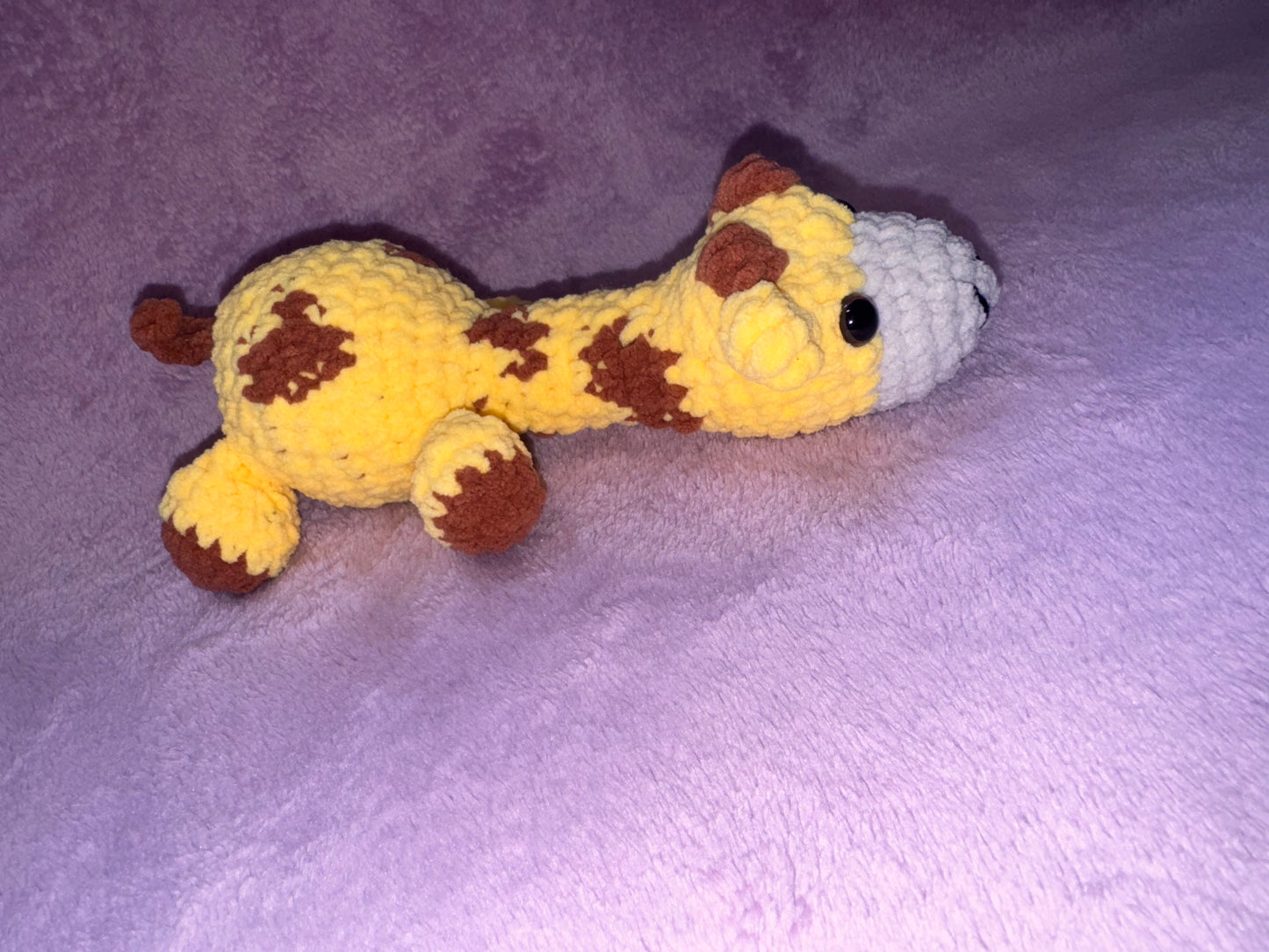 Mini Giraffe!