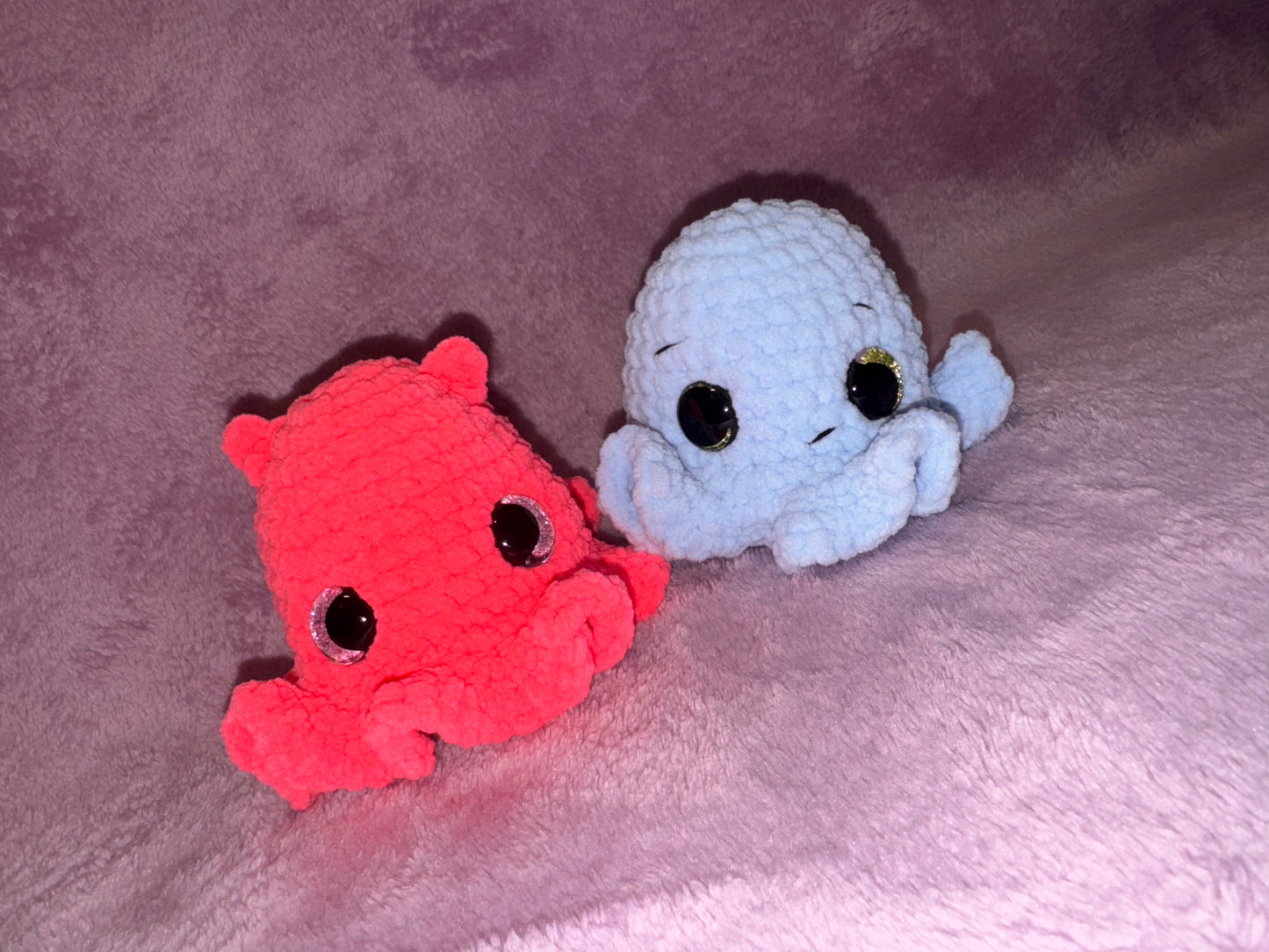 Baby octopus!